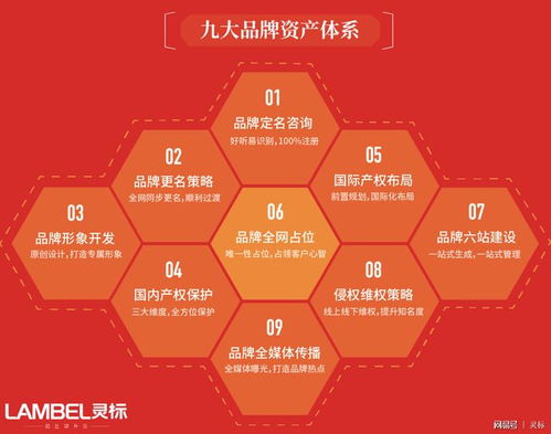 青青國(guó)際攜手國(guó)際品牌管理機(jī)構(gòu)，為參展企業(yè)注入全球品牌新動(dòng)力
